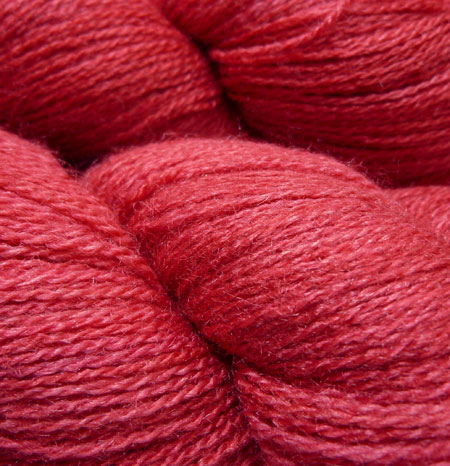"wild rose" - zephyr
